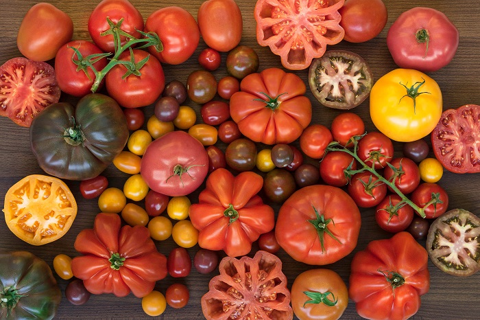 9 Lợi ích sức khỏe kỳ diệu từ trái cà chua