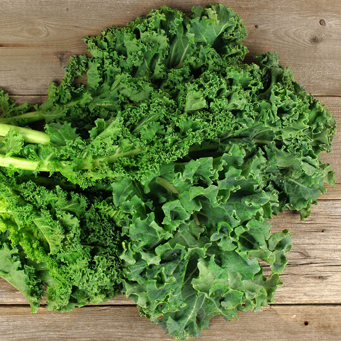 Hạt Giống Cải Xoăn Kale - 5 gram